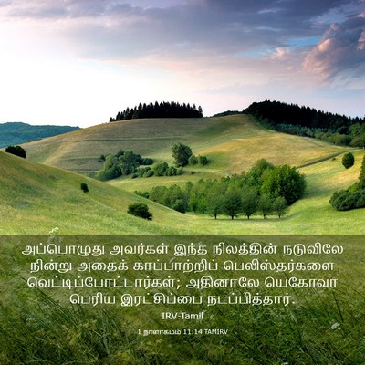 Picture 03 - 1 நாளாகமம் 11:14 TAMIRV - அப்பொழுது அவர்கள் - Bible Verse Picture