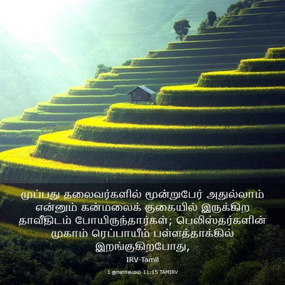 Picture 03 - 1 நாளாகமம் 11:15 TAMIRV - முப்பது - Bible Verse Picture