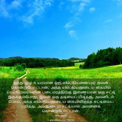 Picture 03 - 1 நாளாகமம் 11:23 TAMIRV - ஐந்து முழ உயரமான - Bible Verse Picture