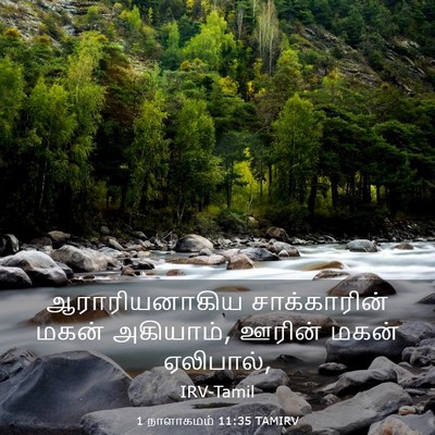 Picture 03 - 1 நாளாகமம் 11:35 TAMIRV - ஆராரியனாகிய - Bible Verse Picture