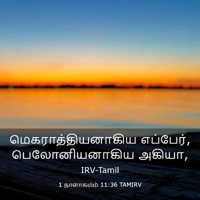 Picture 03 - 1 நாளாகமம் 11:36 TAMIRV - மெகராத்தியனாகிய - Bible Verse Picture