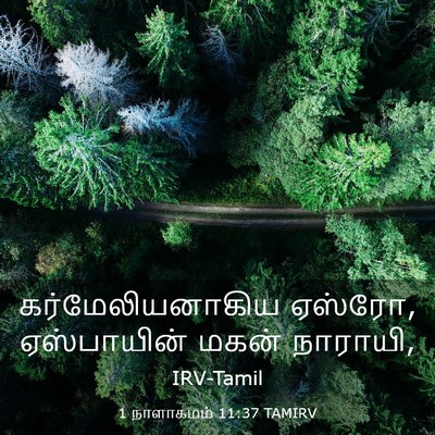Picture 03 - 1 நாளாகமம் 11:37 TAMIRV - கர்மேலியனாகிய - Bible Verse Picture