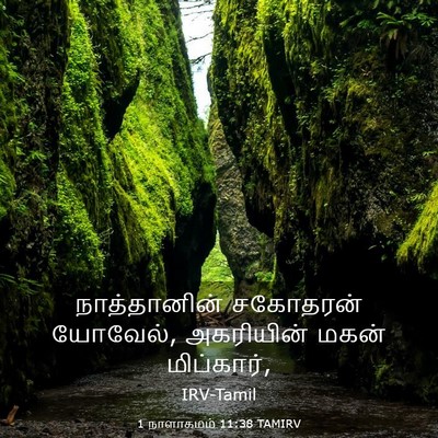 Picture 03 - 1 நாளாகமம் 11:38 TAMIRV - நாத்தானின் - Bible Verse Picture