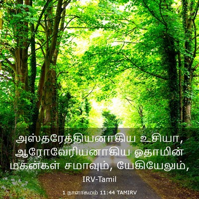 Picture 03 - 1 நாளாகமம் 11:44 TAMIRV - அஸ்தரேத்தியனாகிய - Bible Verse Picture