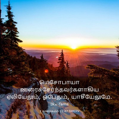 Picture 03 - 1 நாளாகமம் 11:47 TAMIRV - மெசோபாயா - Bible Verse Picture