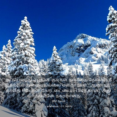 Picture 03 - 1 நாளாகமம் 11:5 TAMIRV - அப்பொழுது ஏபூசின் - Bible Verse Picture