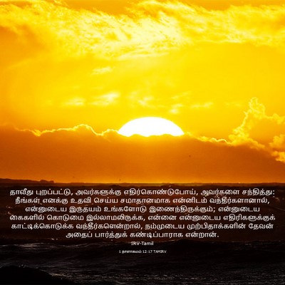 Picture 03 - 1 நாளாகமம் 12:17 TAMIRV - தாவீது - Bible Verse Picture