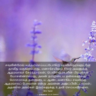 Picture 03 - 1 நாளாகமம் 12:19 TAMIRV - சவுலின்மேல் - Bible Verse Picture