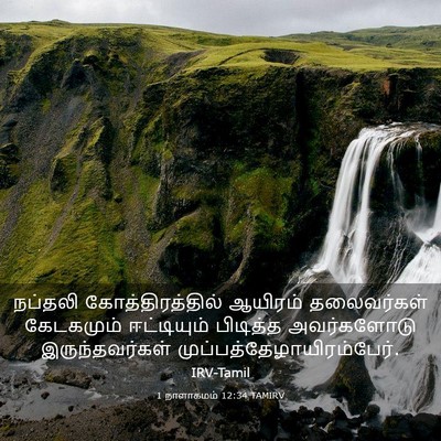 Picture 03 - 1 நாளாகமம் 12:34 TAMIRV - நப்தலி - Bible Verse Picture