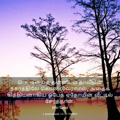Picture 03 - 1 நாளாகமம் 13:13 TAMIRV - பெட்டியைத் - Bible Verse Picture