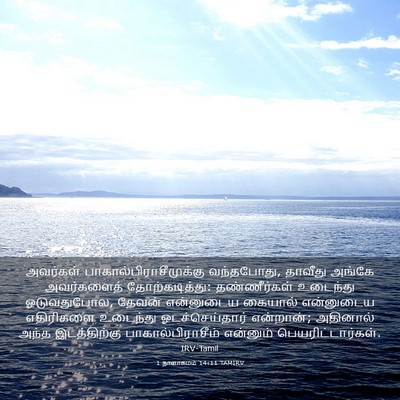 Picture 03 - 1 நாளாகமம் 14:11 TAMIRV - அவர்கள் - Bible Verse Picture
