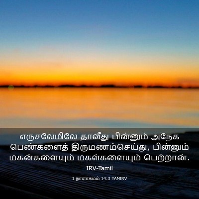 Picture 03 - 1 நாளாகமம் 14:3 TAMIRV - எருசலேமிலே தாவீது - Bible Verse Picture
