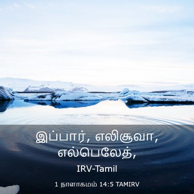 Picture 03 - 1 நாளாகமம் 14:5 TAMIRV - இப்பார், எலிசூவா, - Bible Verse Picture