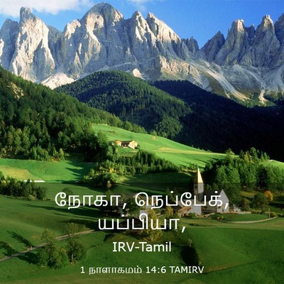 Picture 03 - 1 நாளாகமம் 14:6 TAMIRV - நோகா, நெப்பேக், - Bible Verse Picture