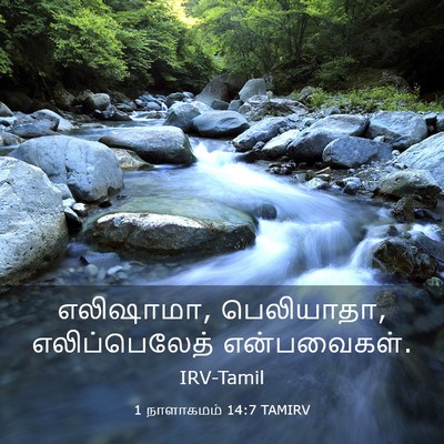 Picture 03 - 1 நாளாகமம் 14:7 TAMIRV - எலிஷாமா, பெலியாதா, - Bible Verse Picture