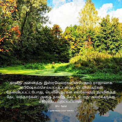 Picture 03 - 1 நாளாகமம் 14:8 TAMIRV - தாவீது அனைத்து - Bible Verse Picture