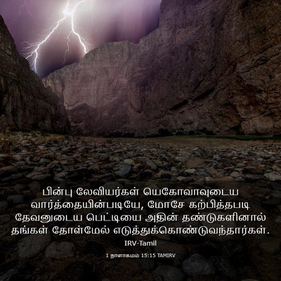 Picture 03 - 1 நாளாகமம் 15:15 TAMIRV - பின்பு லேவியர்கள் - Bible Verse Picture