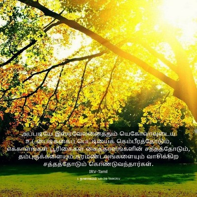 Picture 03 - 1 நாளாகமம் 15:28 TAMIRV - அப்படியே - Bible Verse Picture