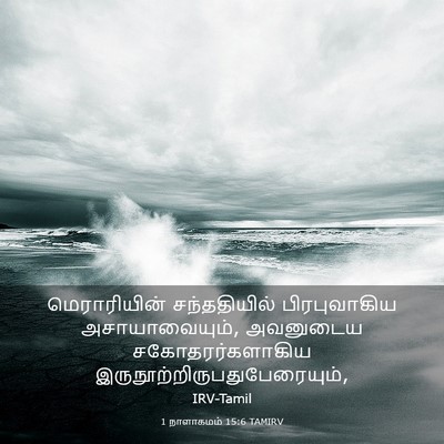 Picture 03 - 1 நாளாகமம் 15:6 TAMIRV - மெராரியின் - Bible Verse Picture