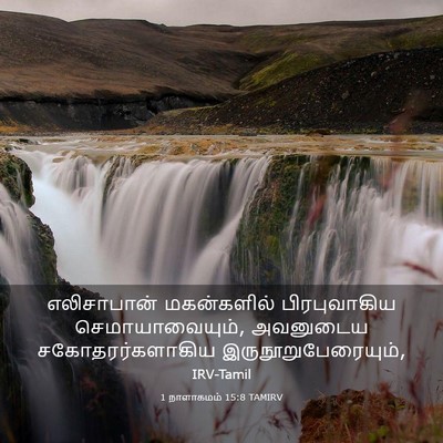 Picture 03 - 1 நாளாகமம் 15:8 TAMIRV - எலிசாபான் - Bible Verse Picture