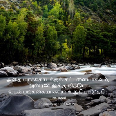 Picture 03 - 1 நாளாகமம் 16:17 TAMIRV - அதை - Bible Verse Picture