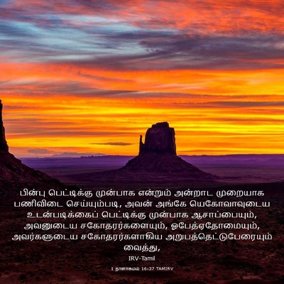 Picture 03 - 1 நாளாகமம் 16:37 TAMIRV - பின்பு பெட்டிக்கு - Bible Verse Picture