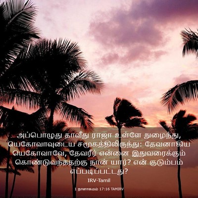 Picture 03 - 1 நாளாகமம் 17:16 TAMIRV - அப்பொழுது தாவீது - Bible Verse Picture