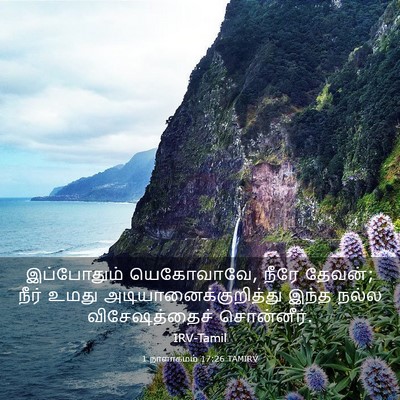 Picture 03 - 1 நாளாகமம் 17:26 TAMIRV - இப்போதும் - Bible Verse Picture