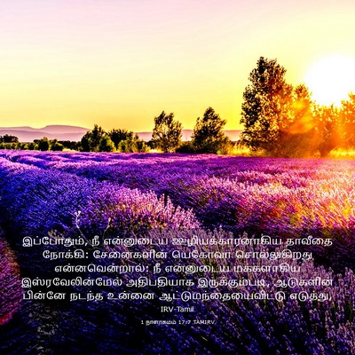 Picture 03 - 1 நாளாகமம் 17:7 TAMIRV - இப்போதும், நீ - Bible Verse Picture