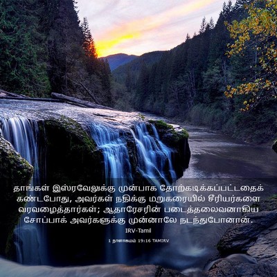 Picture 03 - 1 நாளாகமம் 19:16 TAMIRV - தாங்கள் - Bible Verse Picture