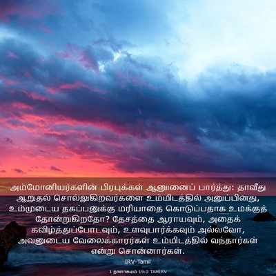 Picture 03 - 1 நாளாகமம் 19:3 TAMIRV - அம்மோனியர்களின் - Bible Verse Picture