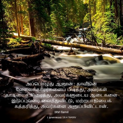 Picture 03 - 1 நாளாகமம் 19:4 TAMIRV - அப்பொழுது ஆனூன்: - Bible Verse Picture