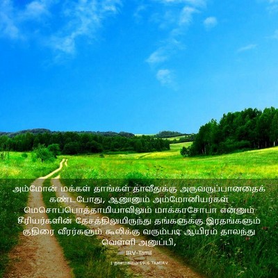 Picture 03 - 1 நாளாகமம் 19:6 TAMIRV - அம்மோன் மக்கள் - Bible Verse Picture