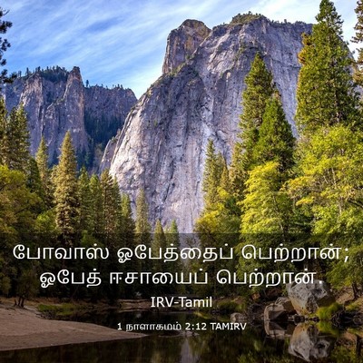 Picture 03 - 1 நாளாகமம் 2:12 TAMIRV - போவாஸ் ஓபேத்தைப் - Bible Verse Picture