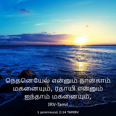Picture 03 - 1 நாளாகமம் 2:14 TAMIRV - நெதனெயேல் என்னும் - Bible Verse Picture