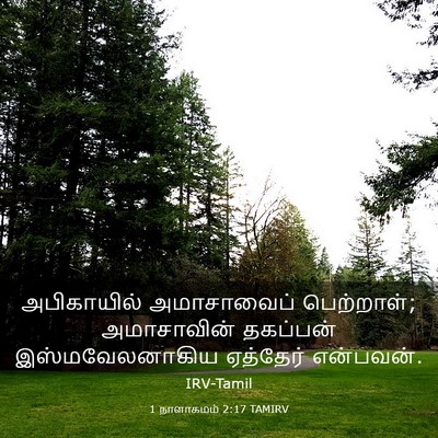 Picture 03 - 1 நாளாகமம் 2:17 TAMIRV - அபிகாயில் - Bible Verse Picture