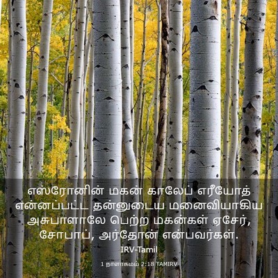 Picture 03 - 1 நாளாகமம் 2:18 TAMIRV - எஸ்ரோனின் மகன் - Bible Verse Picture