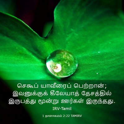 Picture 03 - 1 நாளாகமம் 2:22 TAMIRV - செகூப் யாவீரைப் - Bible Verse Picture