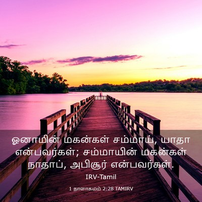 Picture 03 - 1 நாளாகமம் 2:28 TAMIRV - ஓனாமின் மகன்கள் - Bible Verse Picture