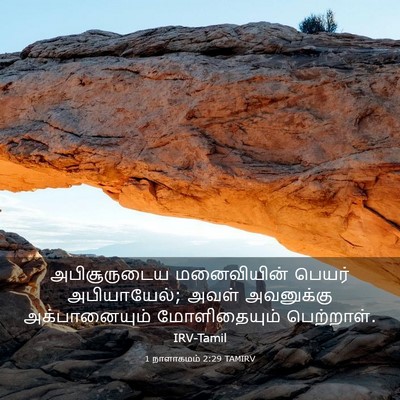 Picture 03 - 1 நாளாகமம் 2:29 TAMIRV - அபிசூருடைய - Bible Verse Picture