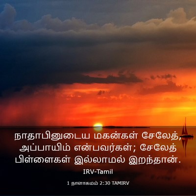 Picture 03 - 1 நாளாகமம் 2:30 TAMIRV - நாதாபினுடைய - Bible Verse Picture
