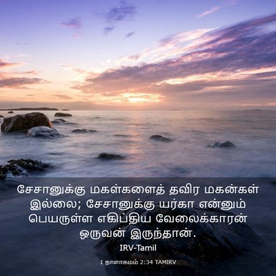 Picture 03 - 1 நாளாகமம் 2:34 TAMIRV - சேசானுக்கு - Bible Verse Picture