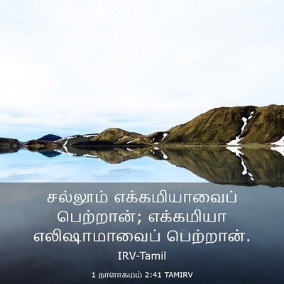 Picture 03 - 1 நாளாகமம் 2:41 TAMIRV - சல்லூம் - Bible Verse Picture