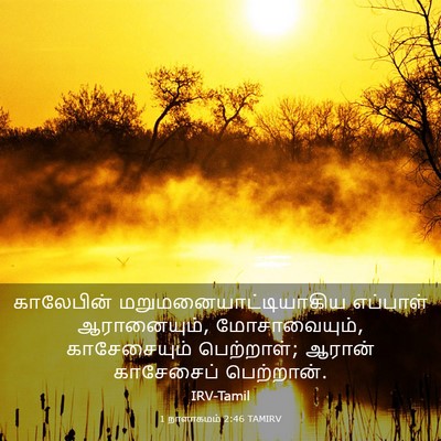 Picture 03 - 1 நாளாகமம் 2:46 TAMIRV - காலேபின் - Bible Verse Picture