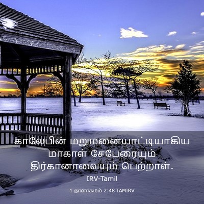 Picture 03 - 1 நாளாகமம் 2:48 TAMIRV - காலேபின் - Bible Verse Picture