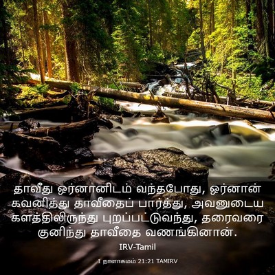 Picture 03 - 1 நாளாகமம் 21:21 TAMIRV - தாவீது ஒர்னானிடம் - Bible Verse Picture