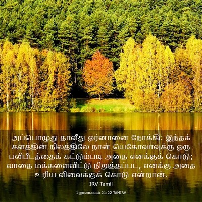 Picture 03 - 1 நாளாகமம் 21:22 TAMIRV - அப்பொழுது தாவீது - Bible Verse Picture
