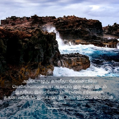 Picture 03 - 1 நாளாகமம் 22:1 TAMIRV - அப்பொழுது தாவீது: - Bible Verse Picture