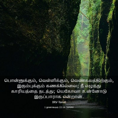 Picture 03 - 1 நாளாகமம் 22:16 TAMIRV - பொன்னுக்கும், - Bible Verse Picture