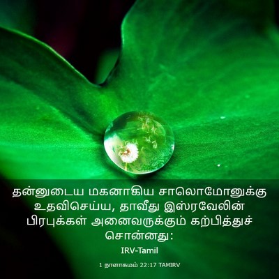 Picture 03 - 1 நாளாகமம் 22:17 TAMIRV - தன்னுடைய மகனாகிய - Bible Verse Picture